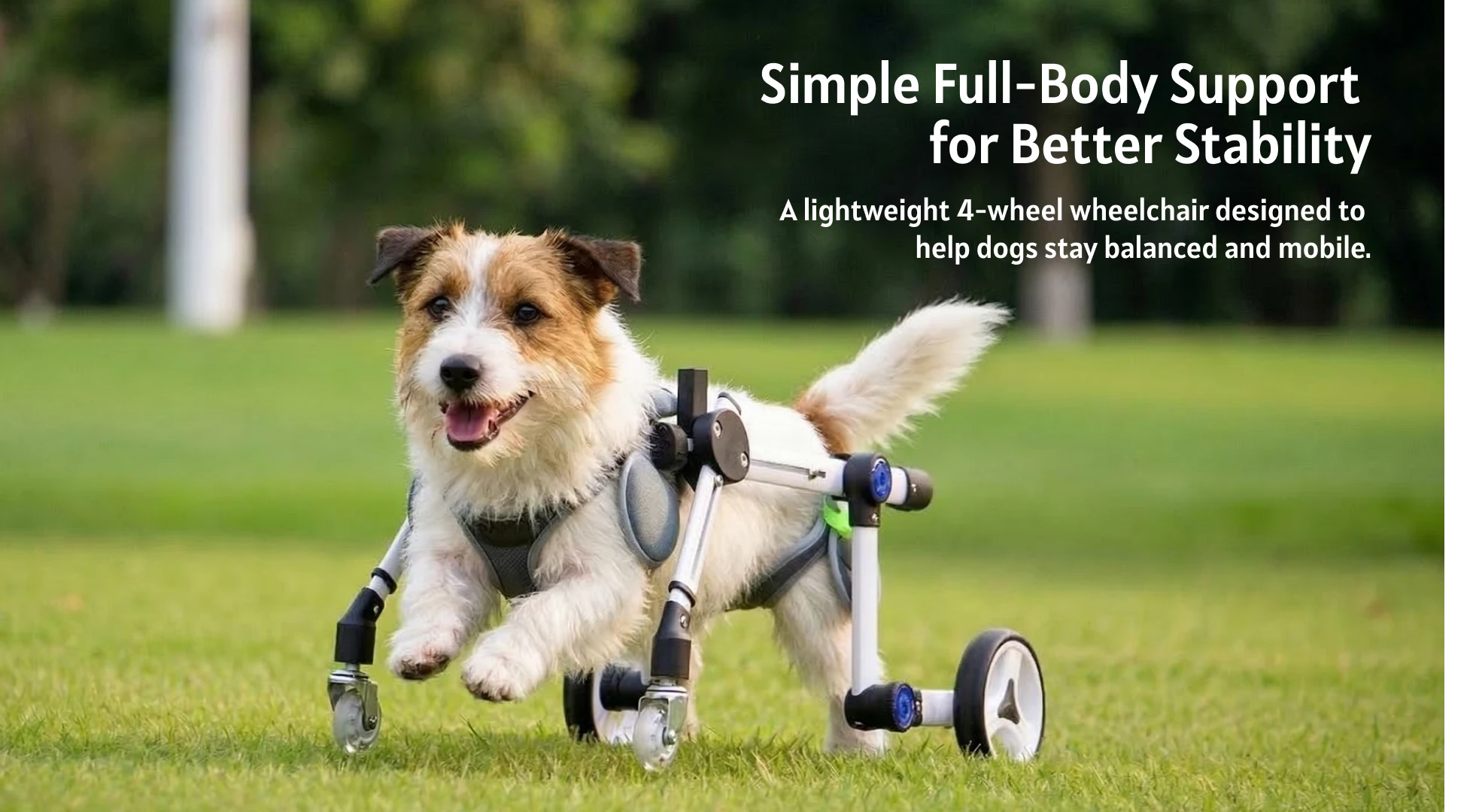 slider image slider_item_BmkYpU