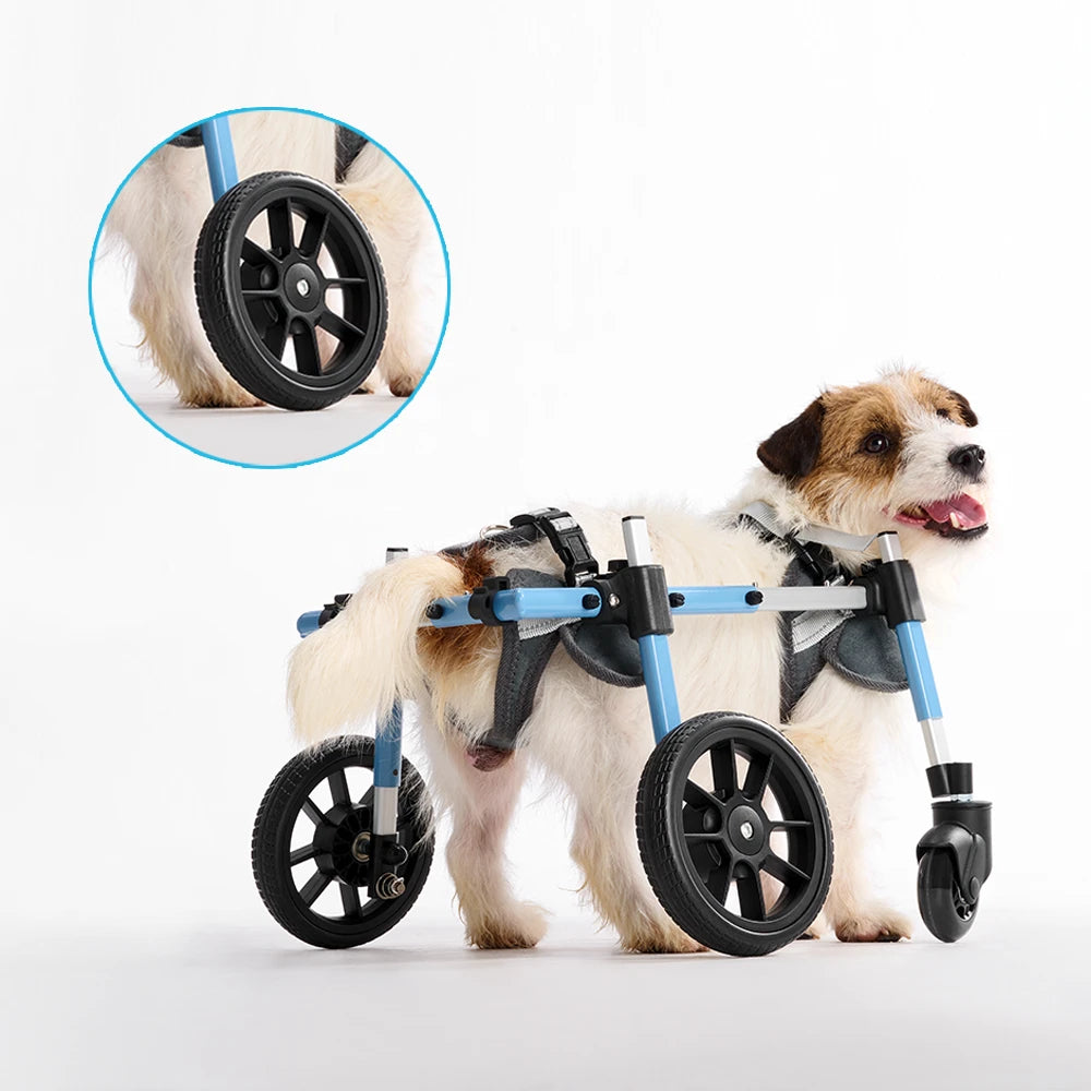 Full Support Dog Wheelchair PRO – Pawsbetter