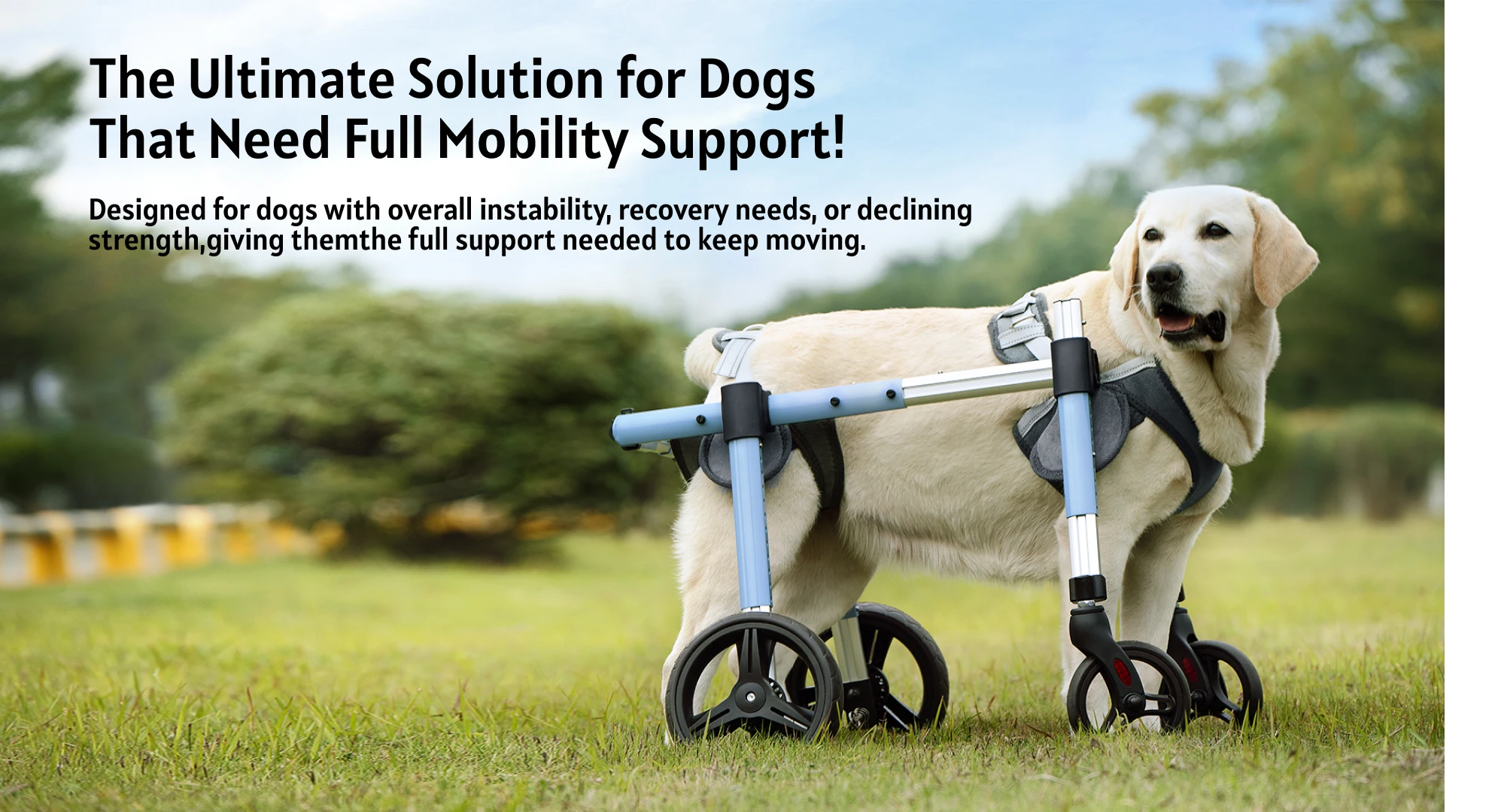 slider image slider_item_BmkYpU