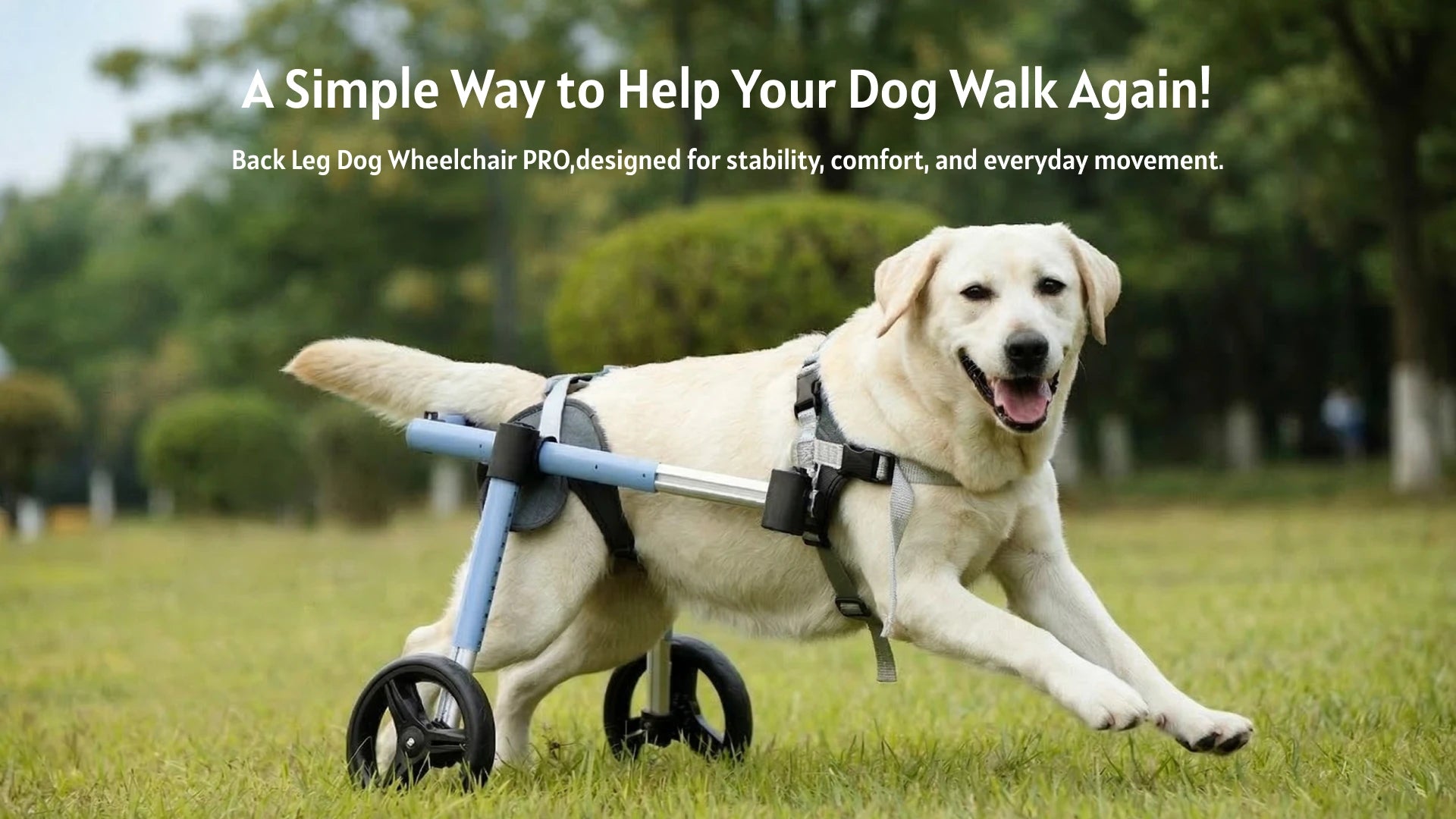 slider image slider_item_BmkYpU